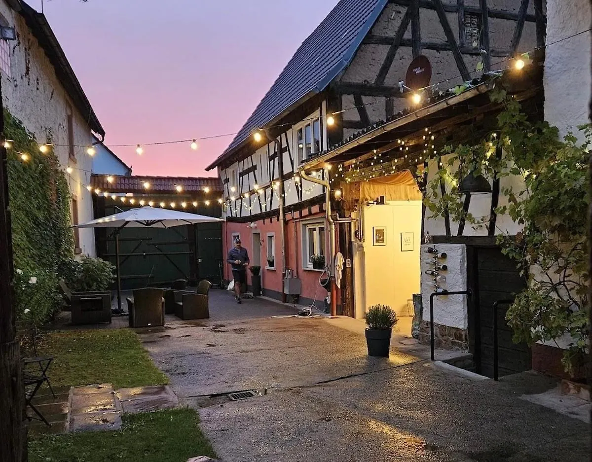 Charming Apartment In Historic Half-Timbered House Grosswallstadt Germany
